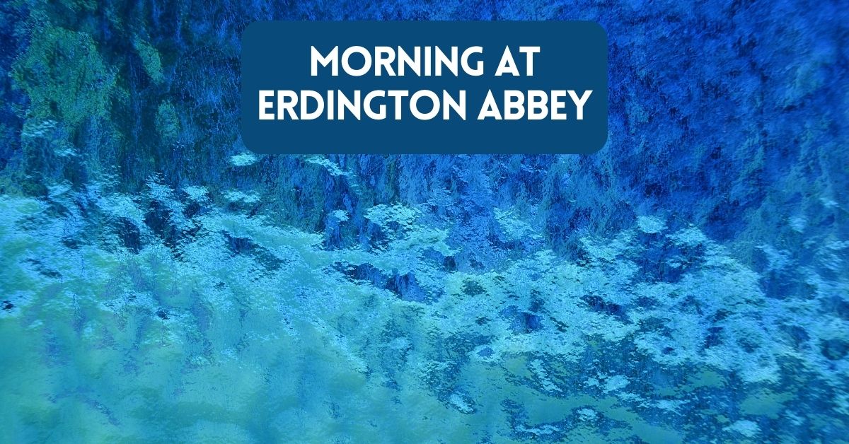 Morning At Erdington Abbey blog cover image