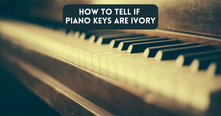 How to Tell If Piano Keys Are Ivory: A Comprehensive Guide