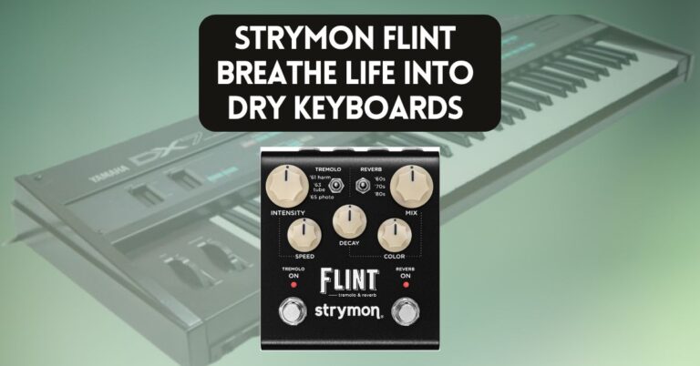 Bringing Life to Your Dry Synth with Strymon Flint Tremolo & Reverb